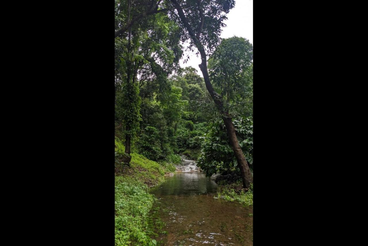 Hill Valley Farm House Nelliyampathy Экстерьер фото
