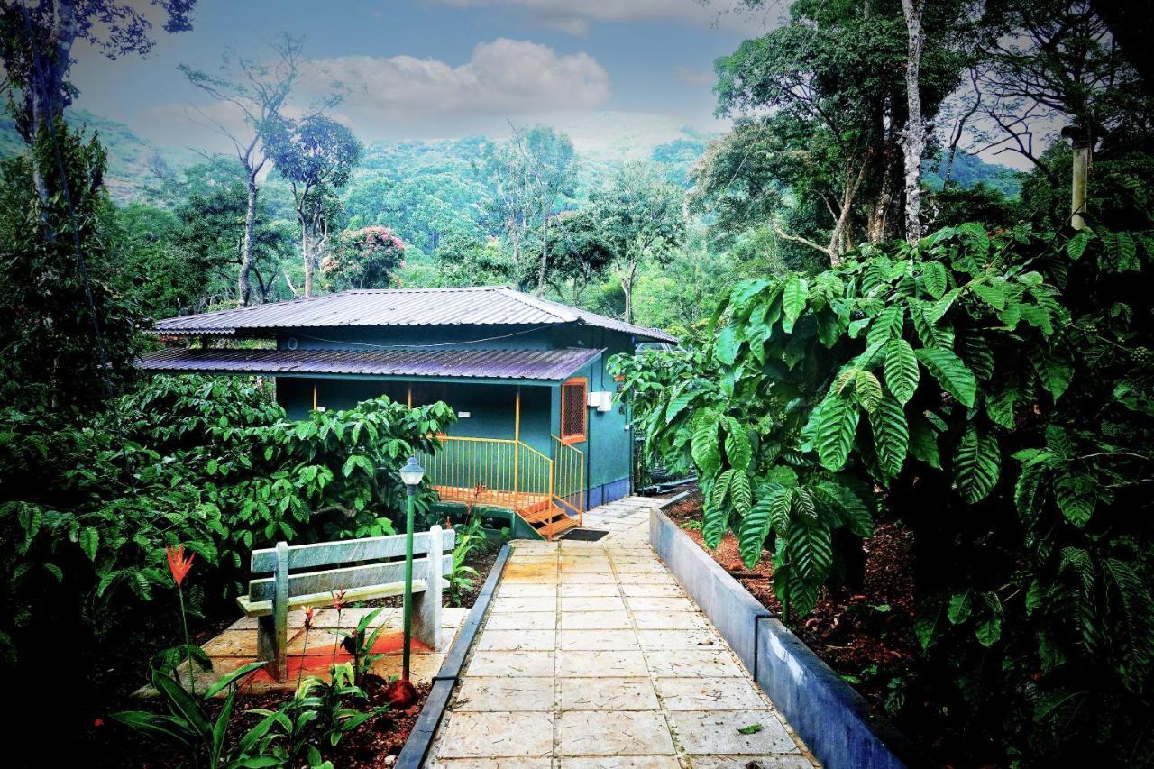 Hill Valley Farm House Nelliyampathy Экстерьер фото