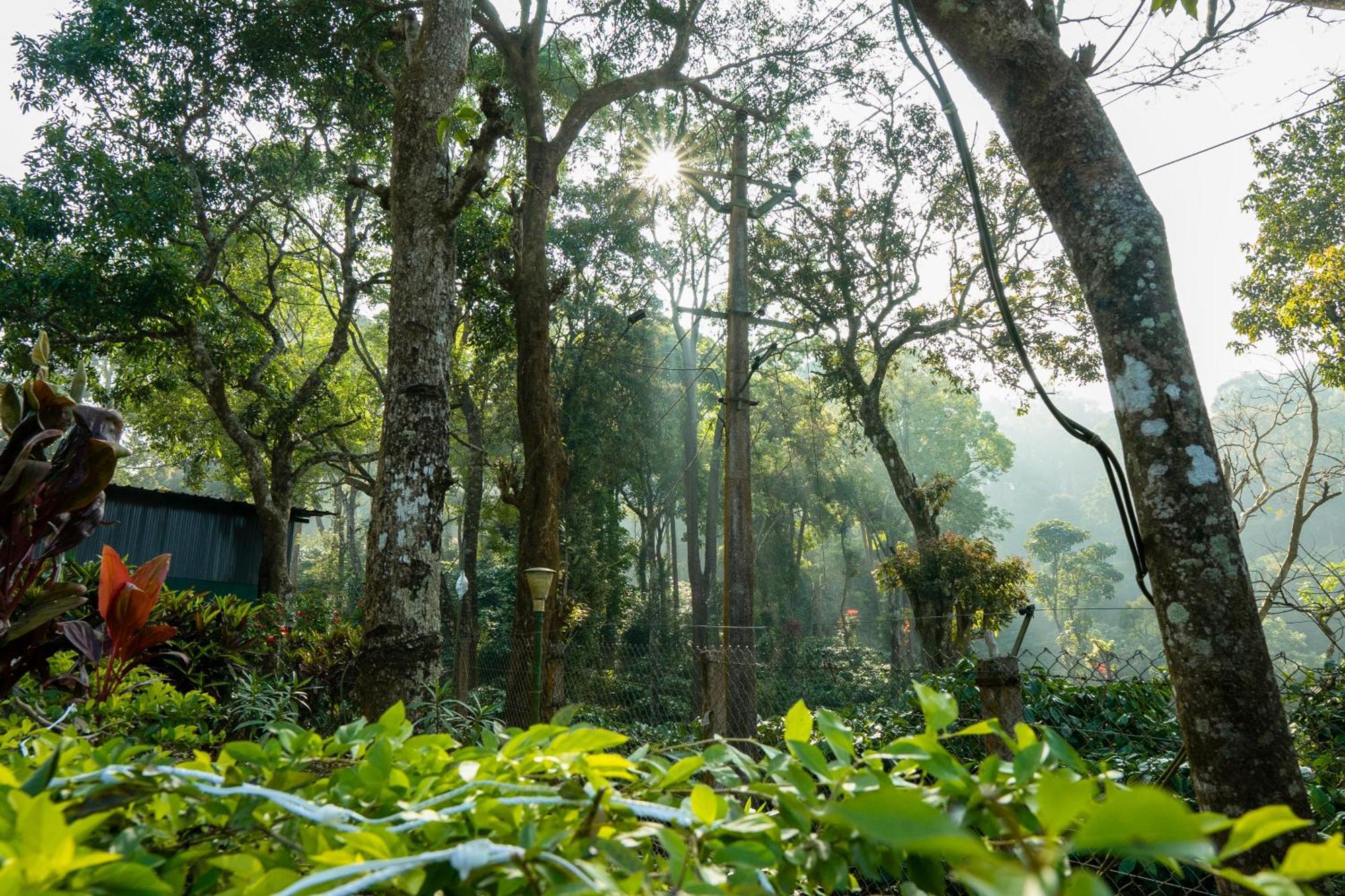 Hill Valley Farm House Nelliyampathy Экстерьер фото