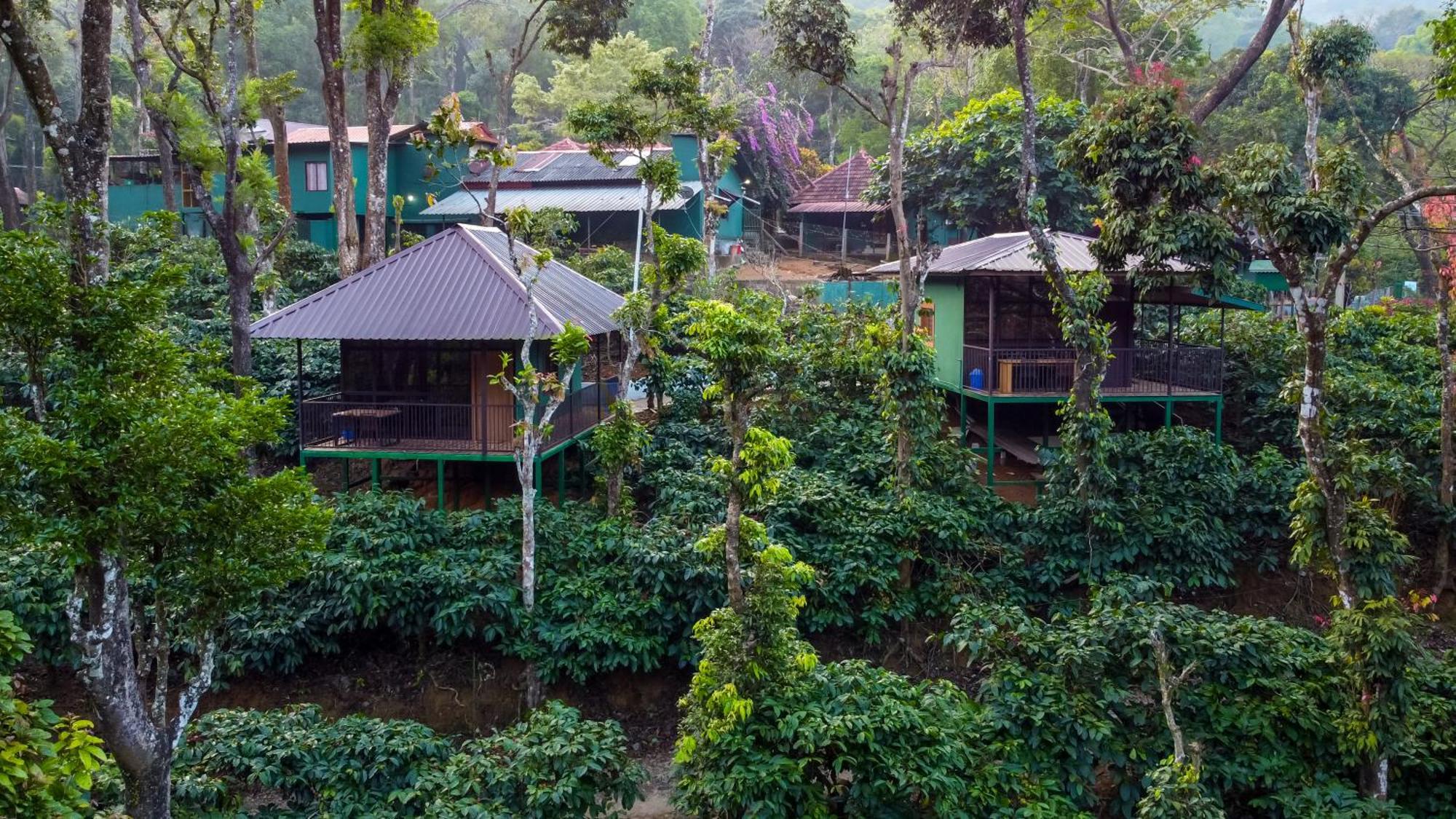 Hill Valley Farm House Nelliyampathy Экстерьер фото